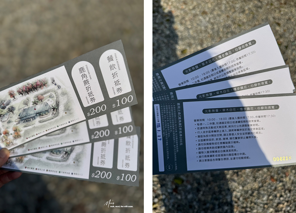 新北淡水.晴花鹿苑|不只是咖啡廳!日式庭園裡的鹿角蕨森林與大草坪,DIY 課程的知性午後 - 第1張圖 新北淡水.晴花鹿苑|不只是咖啡廳!日式庭園裡的鹿角蕨森林與大草坪,DIY 課程的知性午後