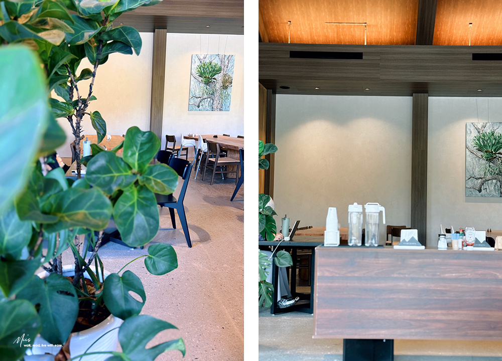 新北淡水.晴花鹿苑|不只是咖啡廳!日式庭園裡的鹿角蕨森林與大草坪,DIY 課程的知性午後 - 第14張圖 新北淡水.晴花鹿苑|不只是咖啡廳!日式庭園裡的鹿角蕨森林與大草坪,DIY 課程的知性午後