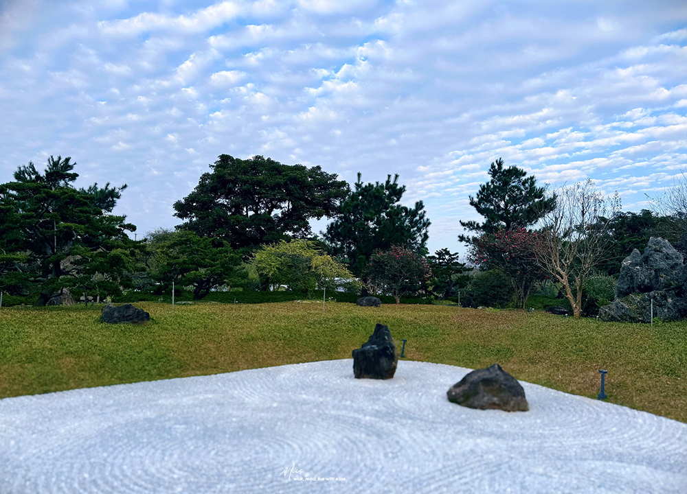 新北淡水.晴花鹿苑|不只是咖啡廳!日式庭園裡的鹿角蕨森林與大草坪,DIY 課程的知性午後 - 第5張圖 新北淡水.晴花鹿苑|不只是咖啡廳!日式庭園裡的鹿角蕨森林與大草坪,DIY 課程的知性午後