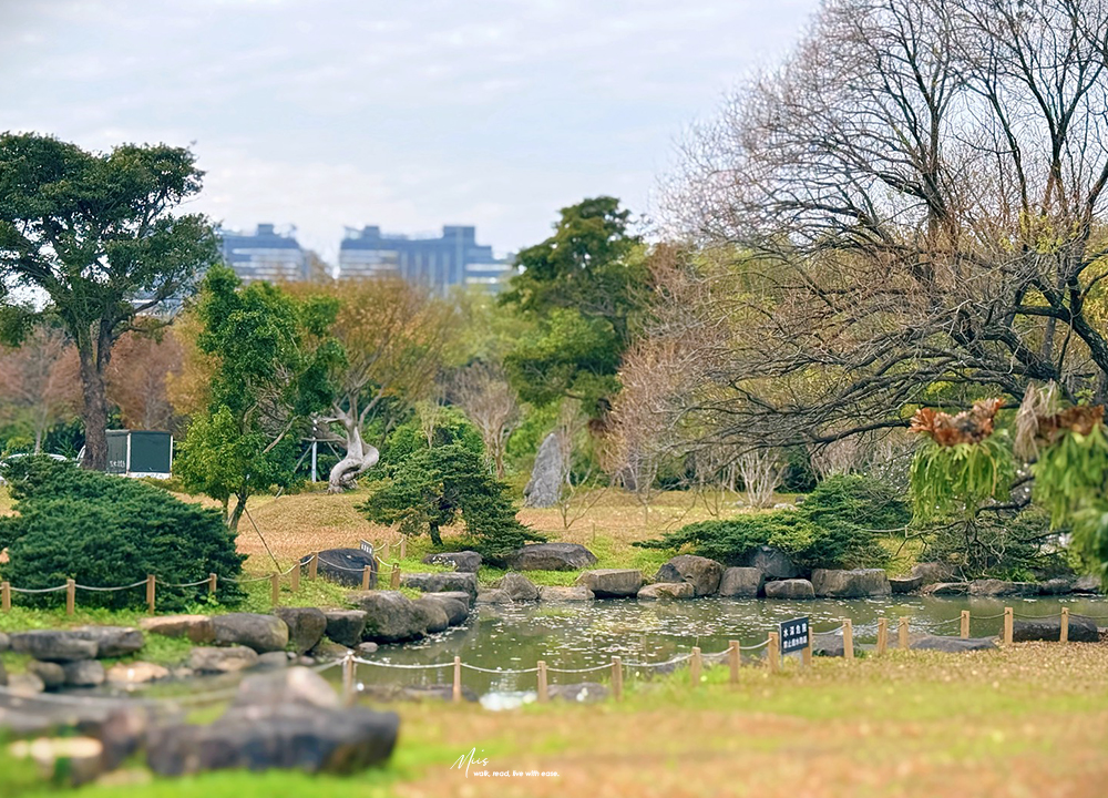 新北淡水.晴花鹿苑|不只是咖啡廳!日式庭園裡的鹿角蕨森林與大草坪,DIY 課程的知性午後 - 第35張圖 新北淡水.晴花鹿苑|不只是咖啡廳!日式庭園裡的鹿角蕨森林與大草坪,DIY 課程的知性午後