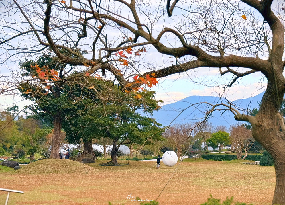 新北淡水.晴花鹿苑|不只是咖啡廳!日式庭園裡的鹿角蕨森林與大草坪,DIY 課程的知性午後 - 第19張圖 新北淡水.晴花鹿苑|不只是咖啡廳!日式庭園裡的鹿角蕨森林與大草坪,DIY 課程的知性午後
