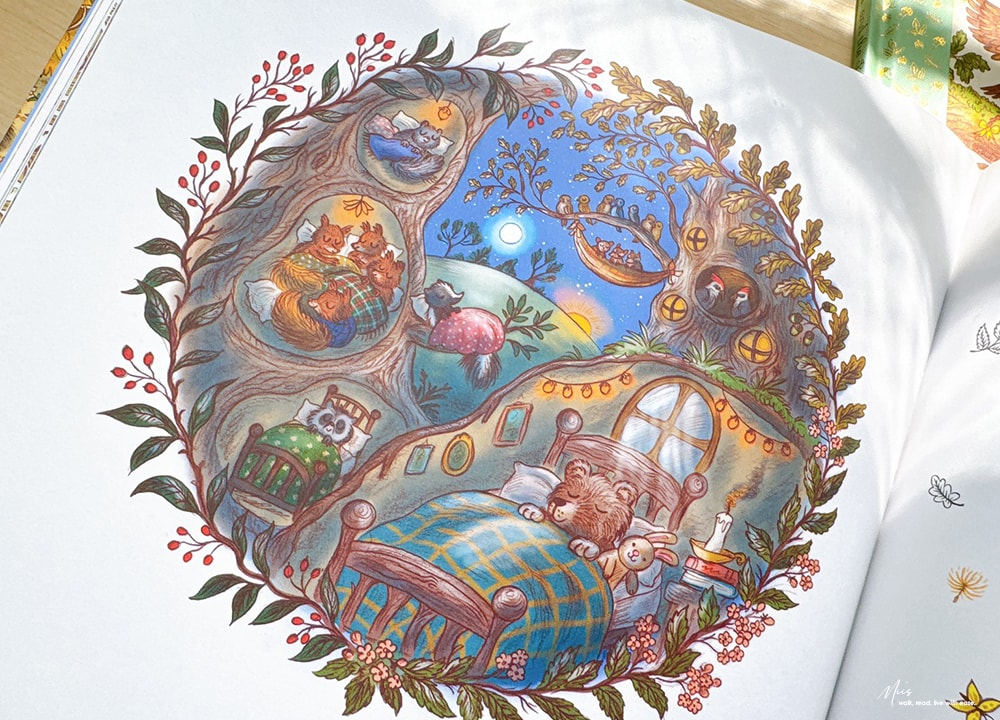Brown Bear Wood 系列|詩意的韻腳森林裡的找找遊戲,超過 100 個隱藏小物,在精美插畫中提升觀察與專注力 - 第23張圖 Brown Bear Wood 系列|詩意的韻腳森林裡的找找遊戲,超過 100 個隱藏小物,在精美插畫中提升觀察與專注力