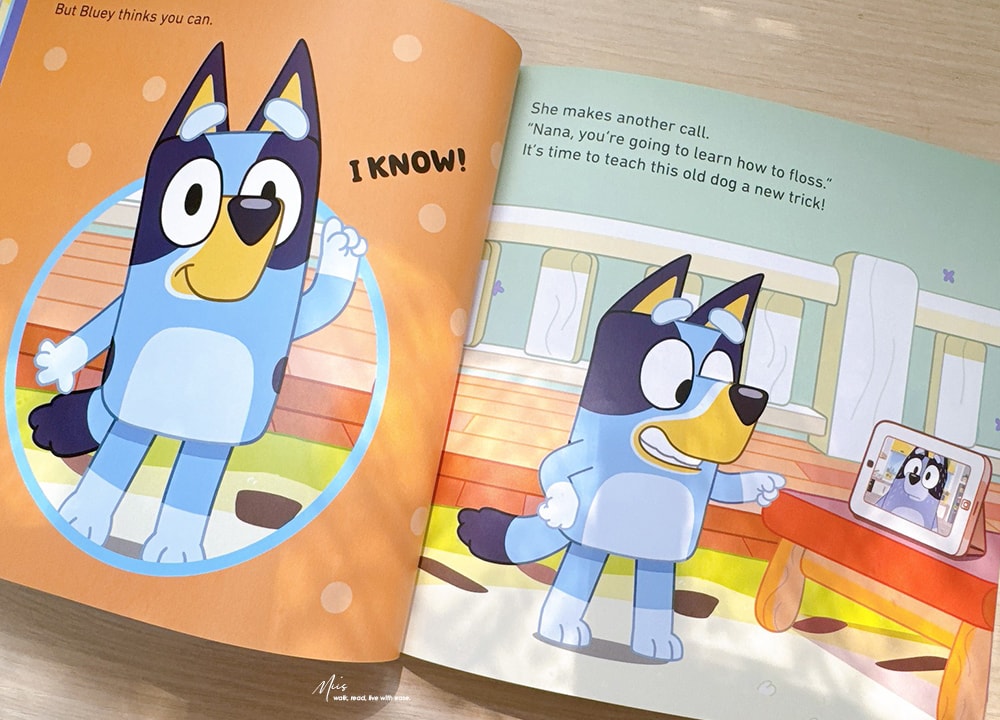 適合3-9歲｜超人氣澳洲國民繪本Bluey Let’s Do This! Box of Books 從日常體驗中挖掘無限想像力