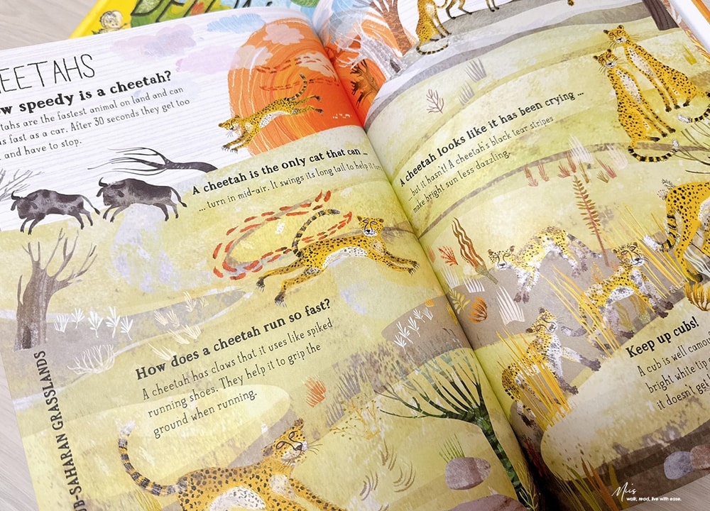 適合 3-8 歲｜The Big Book Series 從硬頁書到科普大書！睡前 5 分鐘，從昆蟲到野獸的海陸空美感繪本