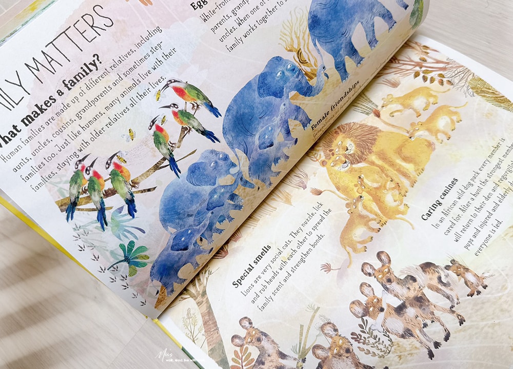 適合 3-8 歲｜The Big Book Series 從硬頁書到科普大書！睡前 5 分鐘，從昆蟲到野獸的海陸空美感繪本