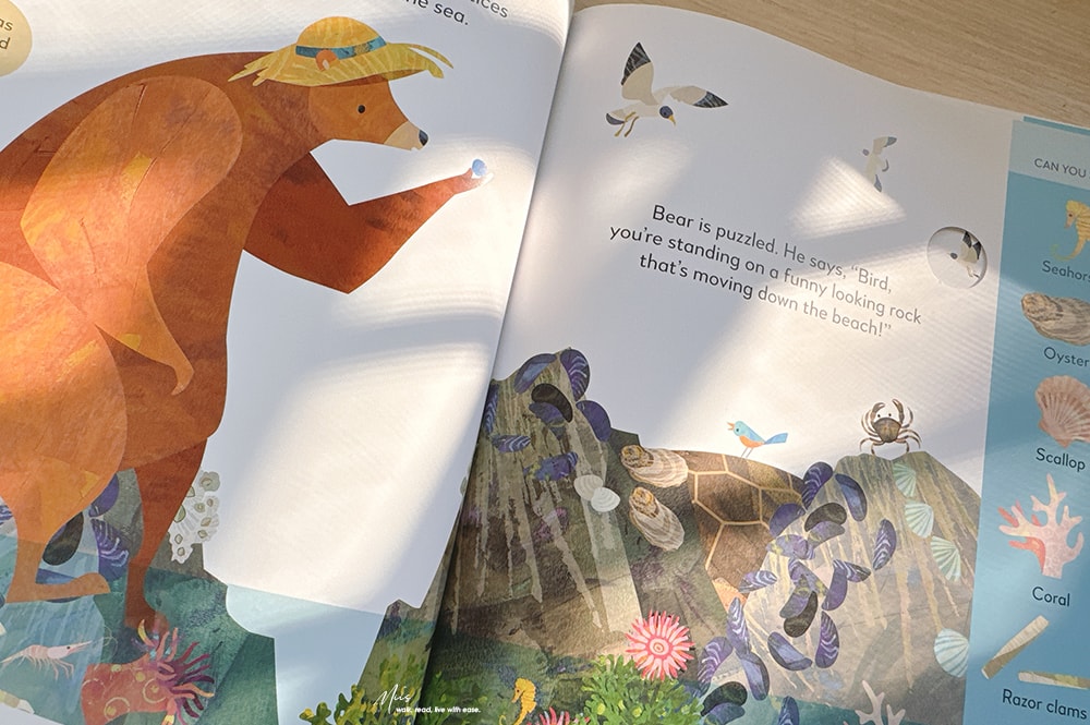 學齡前英文啟蒙推薦｜Jonny Lambert’s Bear and Bird 系列｜找找看＋解任務，訓練專注力與自然詞彙的完美結合