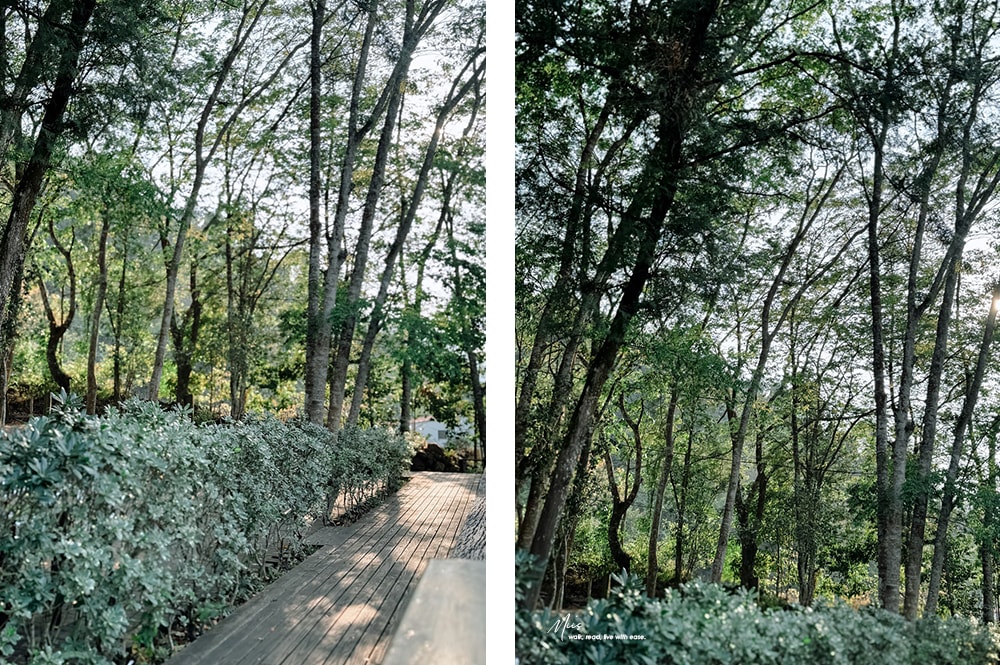 南投國姓.行者咖啡|結合露營區的森林系景觀咖啡廳,室內外舒適綠意空間 - 第4張圖 南投國姓.行者咖啡|結合露營區的森林系景觀咖啡廳,室內外舒適綠意空間