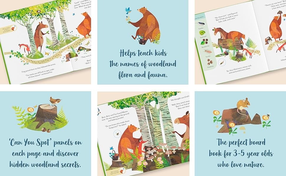 學齡前英文啟蒙推薦｜Jonny Lambert’s Bear and Bird 系列｜找找看＋解任務，訓練專注力與自然詞彙的完美結合