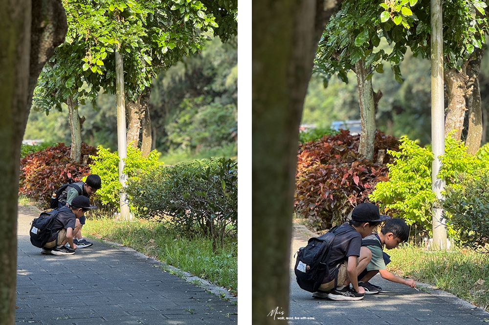 北海岸半日輕旅行|豹豹咖啡海邊館+麟山鼻步道散步.海景玻璃屋,看海看樹林的雙重治癒 - 第31張圖 北海岸半日輕旅行|豹豹咖啡海邊館+麟山鼻步道散步.海景玻璃屋,看海看樹林的雙重治癒