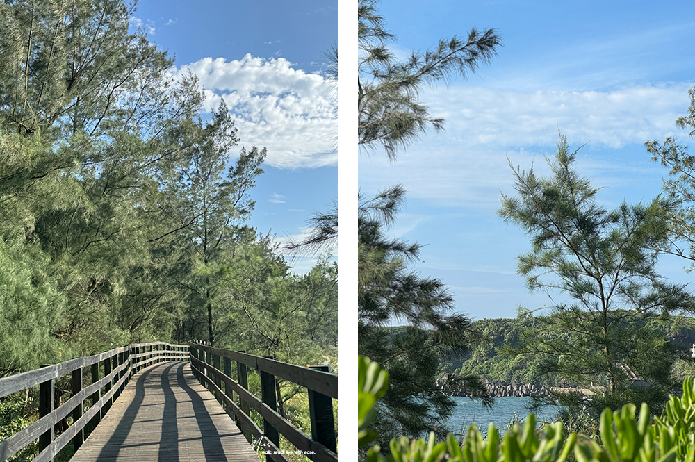 北海岸半日輕旅行|豹豹咖啡海邊館+麟山鼻步道散步.海景玻璃屋,看海看樹林的雙重治癒 - 第34張圖 北海岸半日輕旅行|豹豹咖啡海邊館+麟山鼻步道散步.海景玻璃屋,看海看樹林的雙重治癒