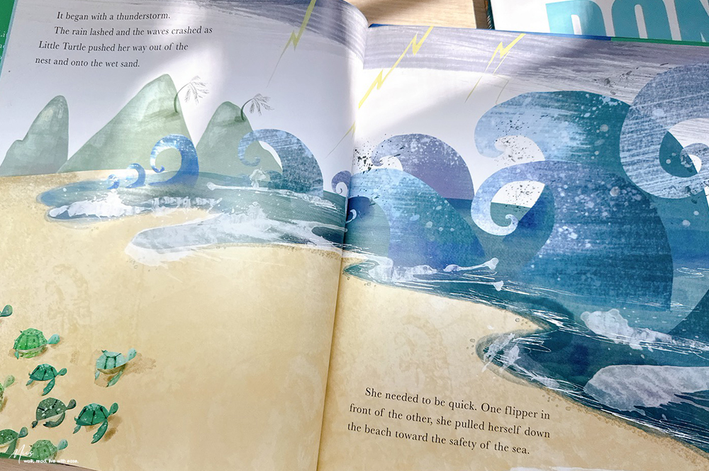 Little Turtle and the Changing Sea|從小海龜的旅程認識海洋污染,兼具情感與知識的環保繪本,適合3-7歲 - 第2張圖 Little Turtle and the Changing Sea|從小海龜的旅程認識海洋污染,兼具情感與知識的環保繪本,適合3-7歲