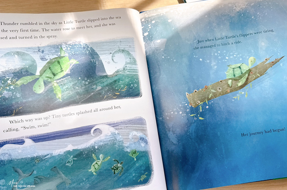Little Turtle and the Changing Sea|從小海龜的旅程認識海洋污染,兼具情感與知識的環保繪本,適合3-7歲 - 第3張圖 Little Turtle and the Changing Sea|從小海龜的旅程認識海洋污染,兼具情感與知識的環保繪本,適合3-7歲
