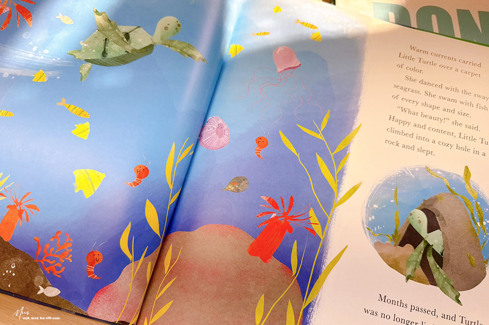 Little Turtle and the Changing Sea|從小海龜的旅程認識海洋污染,兼具情感與知識的環保繪本,適合3-7歲 - 第4張圖 Little Turtle and the Changing Sea|從小海龜的旅程認識海洋污染,兼具情感與知識的環保繪本,適合3-7歲