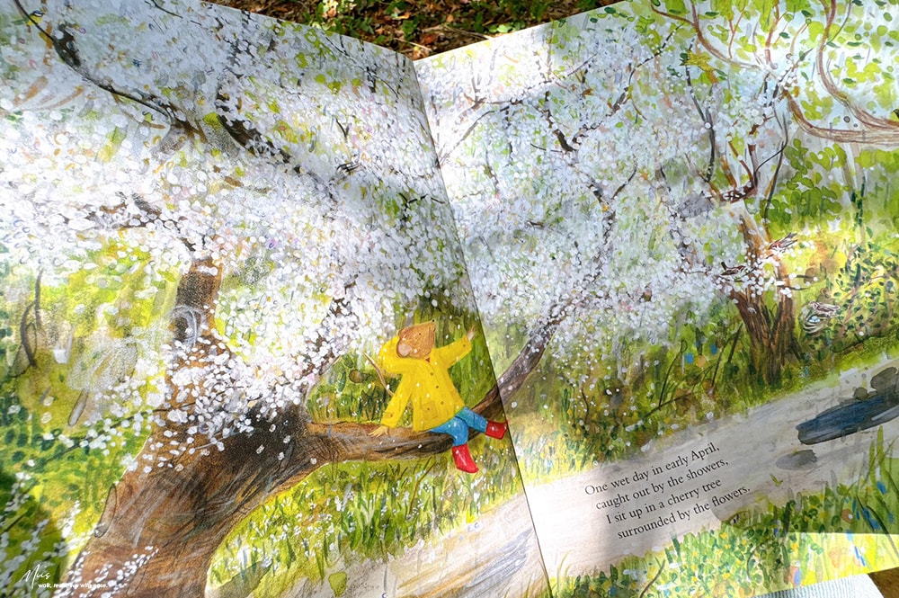 收藏級藝術繪本｜Mouse’s Wood 系列精緻鏤空翻頁，細膩畫筆勾勒四季更迭，與小老鼠展開一場橫跨森林、河流與海洋的自然探險！