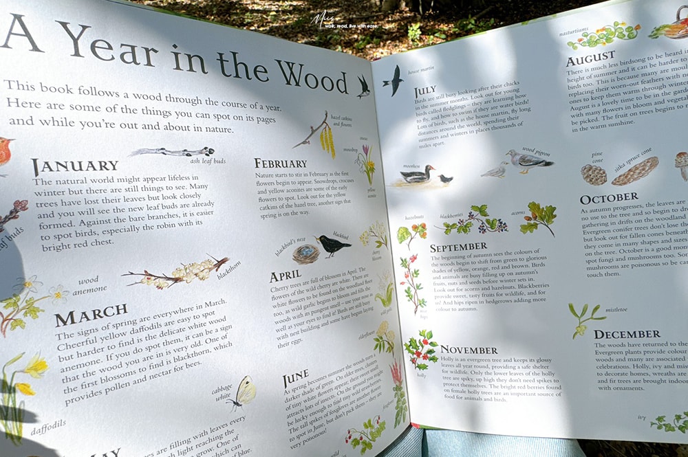 收藏級藝術繪本｜Mouse’s Wood 系列精緻鏤空翻頁，細膩畫筆勾勒四季更迭，與小老鼠展開一場橫跨森林、河流與海洋的自然探險！