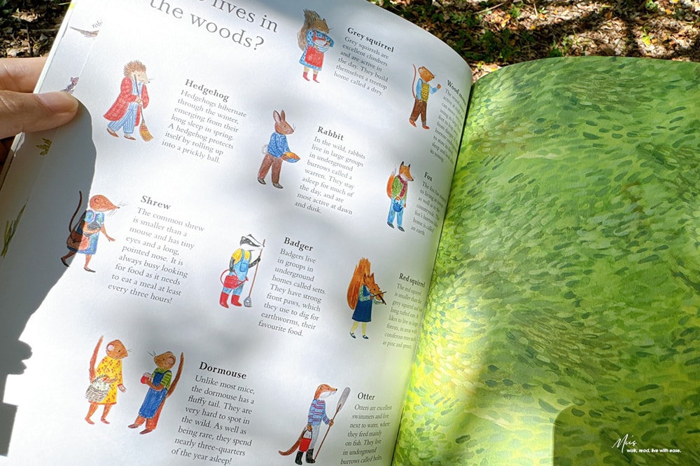 收藏級藝術繪本｜Mouse’s Wood 系列精緻鏤空翻頁，細膩畫筆勾勒四季更迭，與小老鼠展開一場橫跨森林、河流與海洋的自然探險！