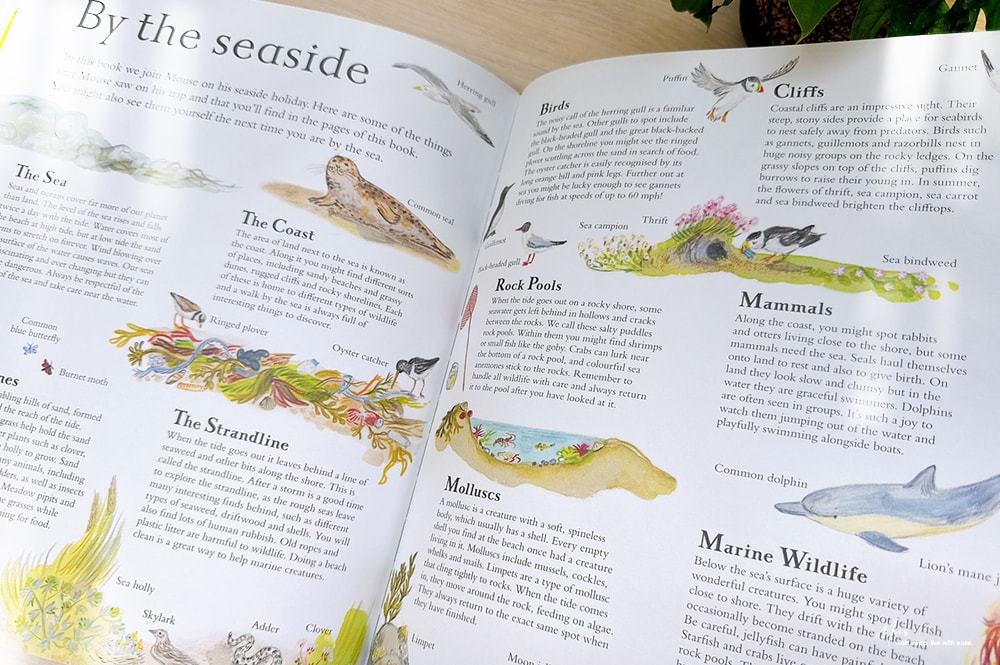 收藏級藝術繪本｜Mouse’s Wood 系列精緻鏤空翻頁，細膩畫筆勾勒四季更迭，與小老鼠展開一場橫跨森林、河流與海洋的自然探險！