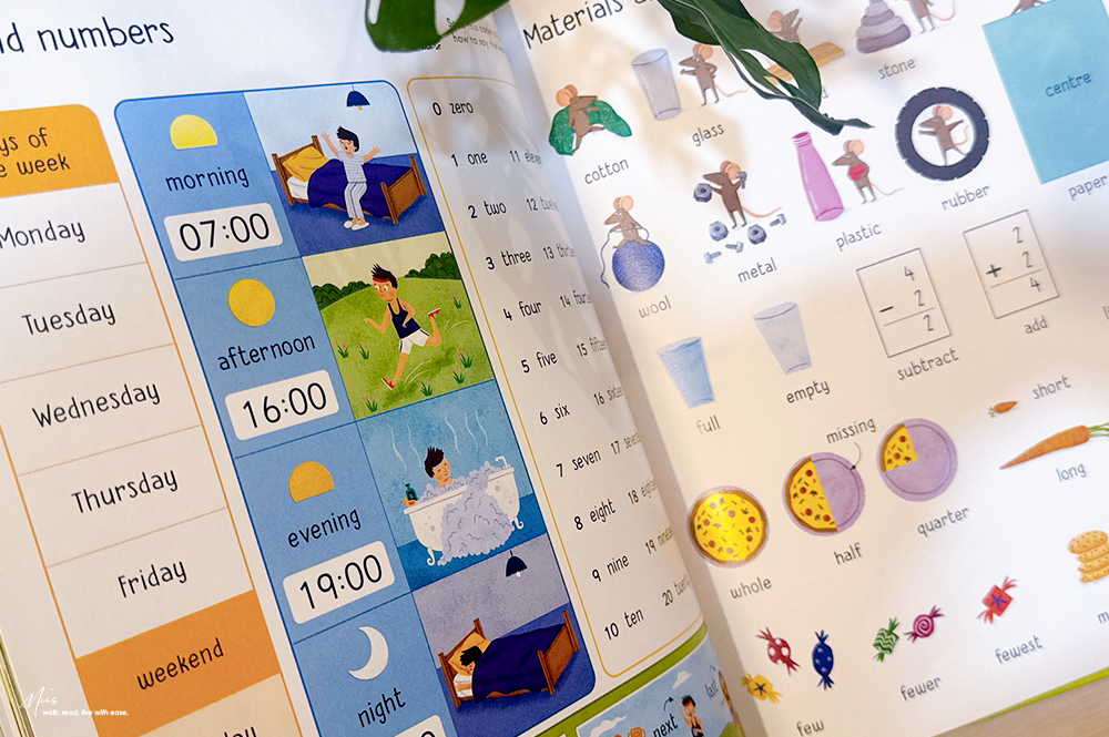 從硬頁操作到主題字典｜Bizzy Bear’s Big Book of Words x 1000 English Words 用趣味圖鑑(附音檔)，建立生活英語字庫